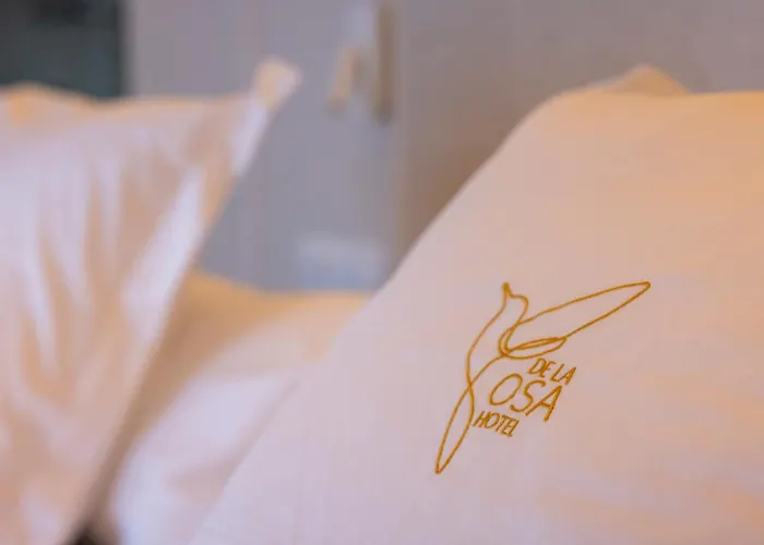 De La Osa فندق Abres